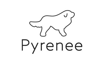 安全運転の支援装置を開発するスタートアップ「Pyrenee社」に出資