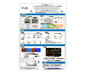 日本動物実験代替法学会 第33回大会（2020年11月12,13日開催）