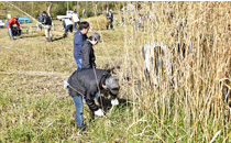 平和町工場／日本 2016年5月植樹