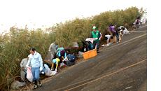 平和町工場／日本 2009年11月植樹