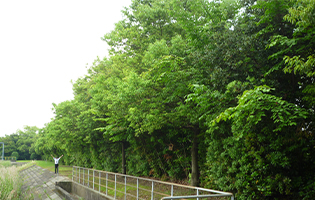 平和町工場2023年度