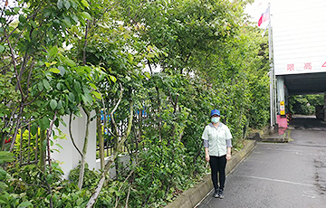 FY/豊裕【台湾】2019年度