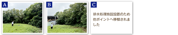 TY/台裕ゴム　2025年度