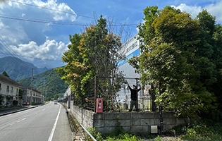 海洋ゴム2024年度