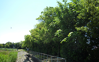平和町工場2024年度