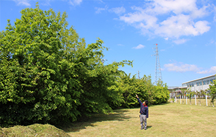 豊田合成東日本2025年度