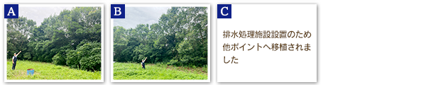 TY/台裕ゴム　2024年度