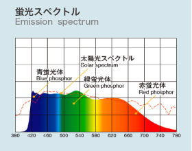 蛍光スペクトル