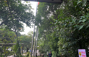 TGFR,TGFP/佛山TGR,TGP【中国】2026年度