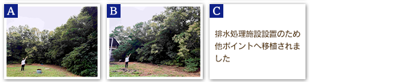 TY/台裕ゴム　2026年度