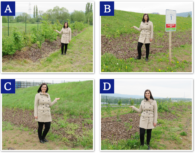 Tgcz チェコ 豊田合成 Tgcz チェコ 豊田合成