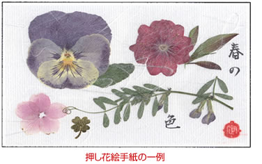 押し花絵手紙の一例