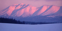 冬の北海道・美暎 15