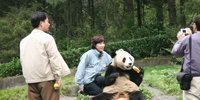 [17]中国・ジャイアントパンダ公園-2（パンダを抱きたい観客は、お金が必要）