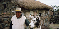 「うちのポチだよ」 ペルー人の民家にて 