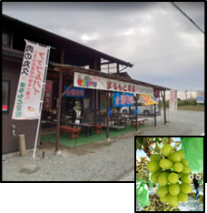 まるもと農園