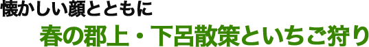 懐かしい顔とともに春の郡上・下呂散策といちご狩り