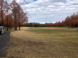 開催中の風景