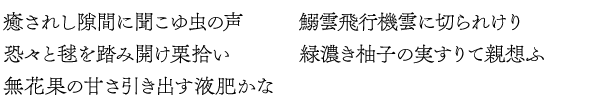 俳句特設10