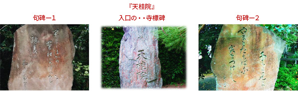 『天桂院』　左：句碑－1　中央：入口の・・寺標碑　右：句碑－2