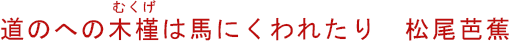 道のへの木槿（むくげ）は馬にくわれたり　松尾芭蕉