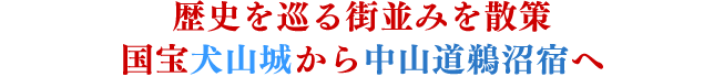 歴史を巡る街並みを散策 国宝犬山城から中山道鵜沼宿へ