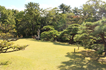 六華苑和館の縁側から眺めた庭園