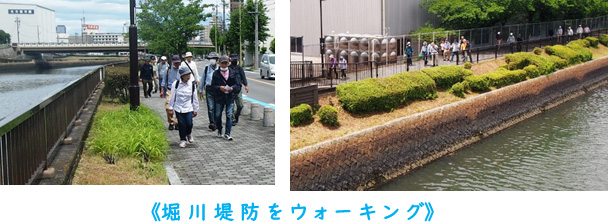 堀川堤防をウォーキング
