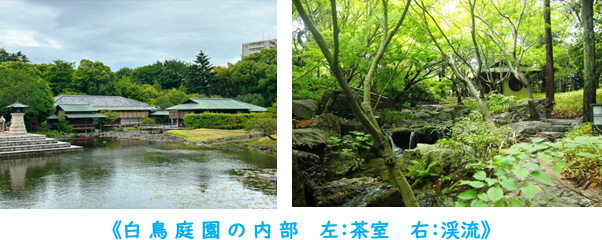 白鳥庭園の内部 左：茶室、右：渓流