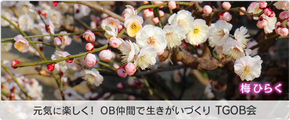 元気に楽しく！ OB仲間で生きがいづくり TGOB会