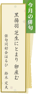 今月の俳句　黒揚羽　芝生にとまり　卵産む　俳句同好会はるひ　鈴木定夫