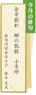 今月の俳句　背中割れ 蝉の脱穀 小半時　俳句同好会はるひ　鈴木定夫