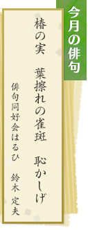 今月の俳句　椿の実 葉擦れの雀斑 恥かしげ　俳句同好会はるひ　鈴木定夫