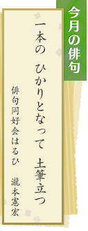 今月の俳句　一本の ひかりとなって 土筆立つ　俳句同好会はるひ　瀧本憲宏