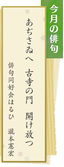 今月の俳句　あぢさゐへ 古寺の門 開け放つ　俳句同好会はるひ　瀧本憲宏