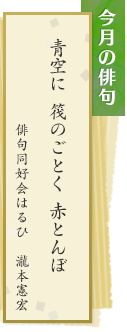 今月の俳句　青空に 筏のごとく 赤とんぼ　俳句同好会はるひ　瀧本憲宏