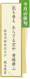 今月の俳句　花も香も あらざる空や 黄蝶舞ふ　俳句同好会はるひ　瀧本憲宏