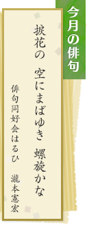 今月の俳句　捩花の　空にまばゆき　螺旋かな　俳句同好会はるひ　瀧本憲宏