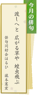 今月の俳句　渡しへと　広がる草や　蝗虫飛ぶ　俳句同好会はるひ　瀧本憲宏