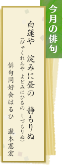 今月の俳句　白蓮や　淀みに昼の　静もりぬ　俳句同好会はるひ　瀧本憲宏