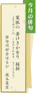 今月の俳句 葉脈の 著けきかをり 桜餅（ようみゃくの しるけきかをり さくらもち）俳句同好会はるひ　瀧本憲宏