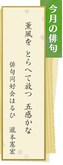 今月の俳句 薫風をとらへて放つ五感かな 俳句同好会はるひ　瀧本憲宏