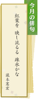 今月の俳句 紅葉を映し流るる疎水かな　瀧本憲宏
