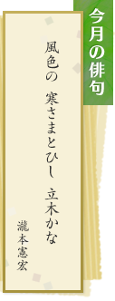 今月の俳句 風色の 寒さまとひし 立木かな　瀧本憲宏