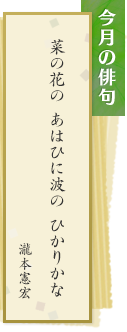 今月の俳句 菜の花の あはひに波の ひかりかな　瀧本憲宏