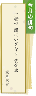 今月の俳句 一燈の 闇にいざなう 黄金虫 瀧本憲宏