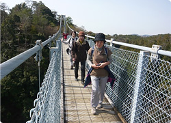 全長165ｍ、高さ56ｍ、やっぱり怖い