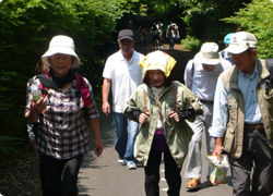 今日は暑いね　30度を超えているね