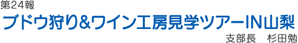 森町花火大会　ブドウ狩り&ワイン工房見学ツアーIN山梨