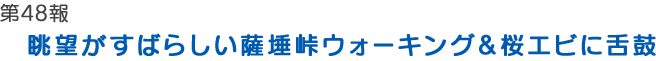 全社一斉社会貢献活動